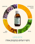 LIPO DTX