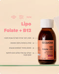 Lipo Folate+B12