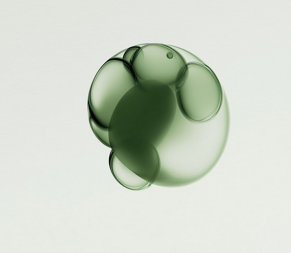 מיקרוסקופיה דינמית לניתוח יציבות של ליפוזומים