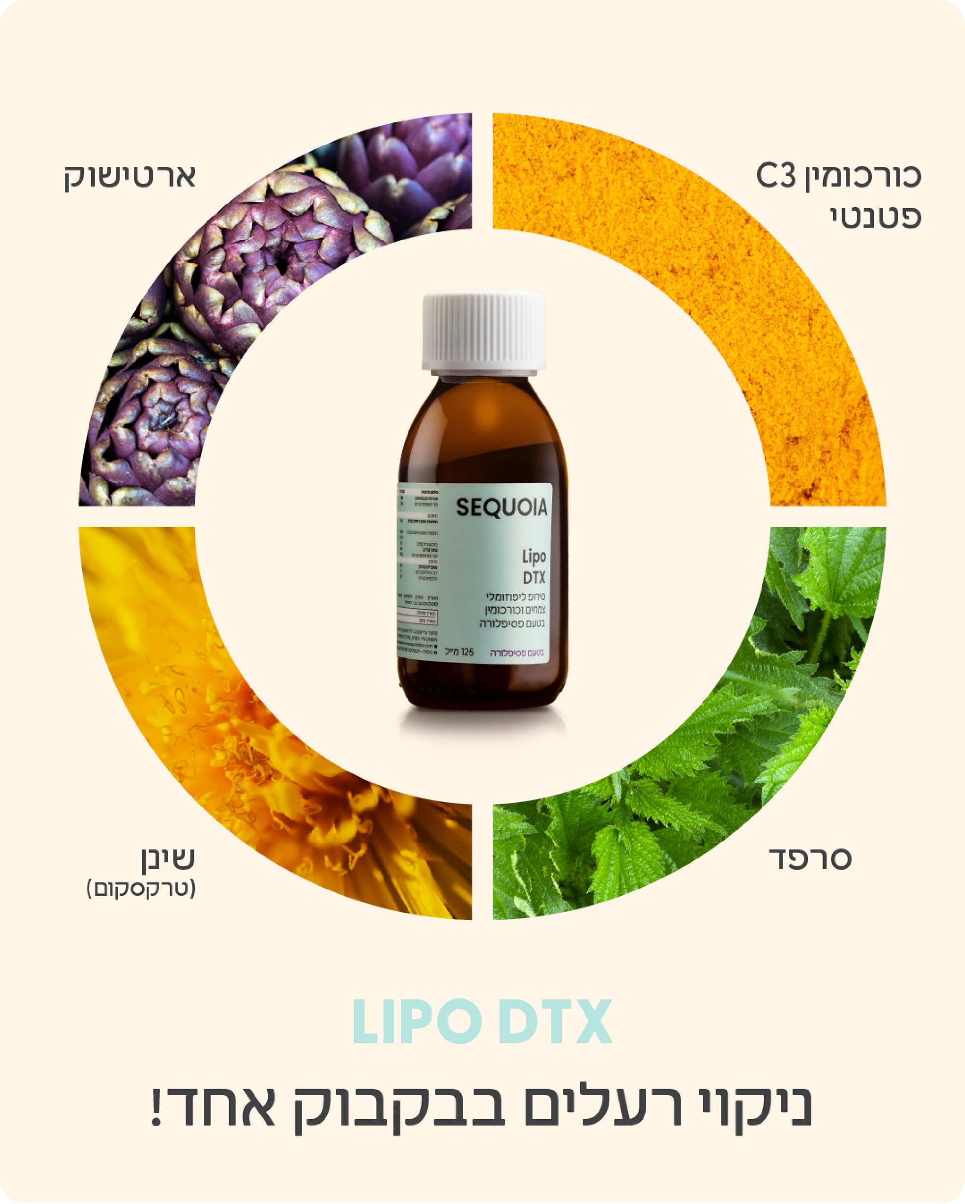 LIPO DTX