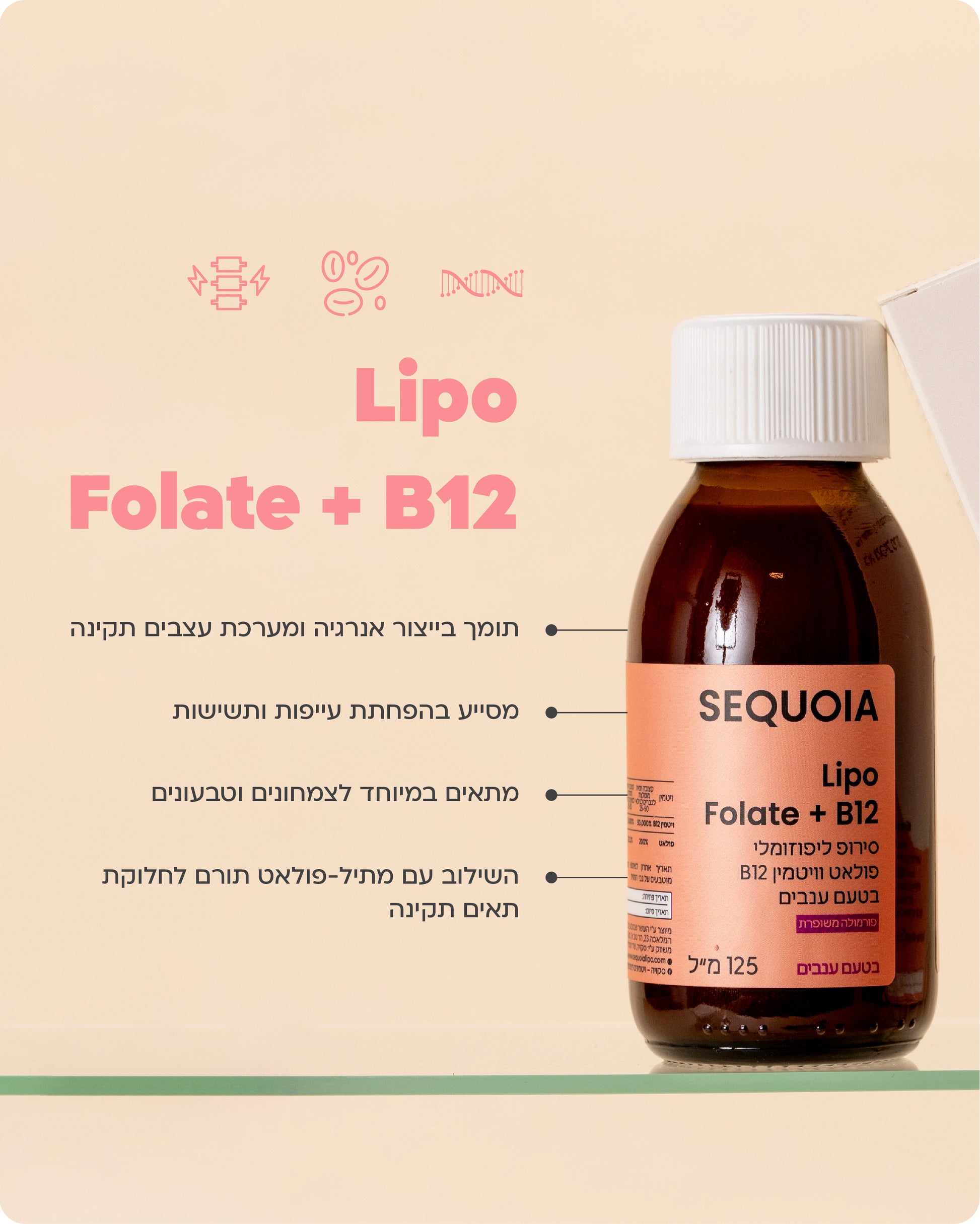 Lipo Folate+B12