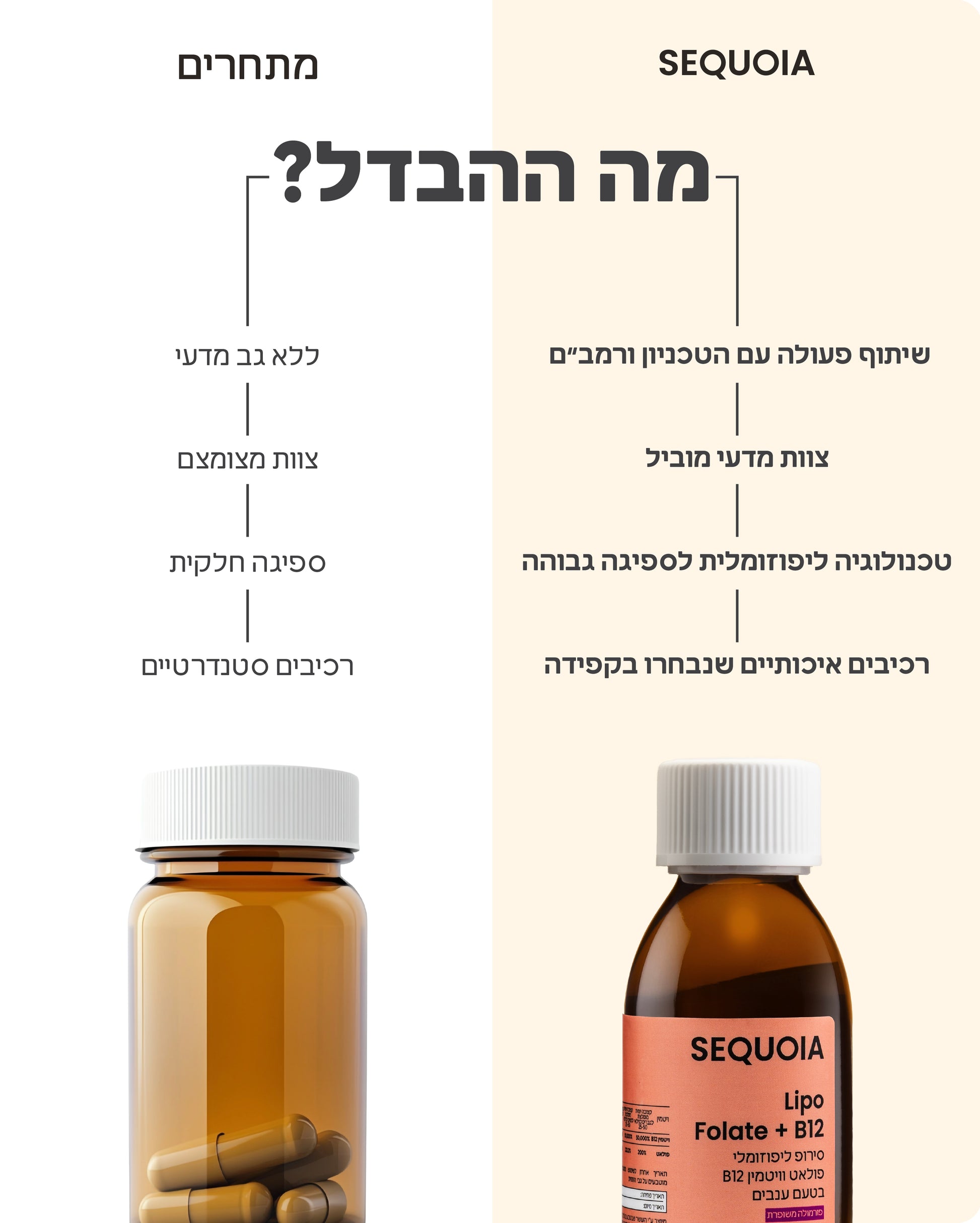 Lipo Folate+B12