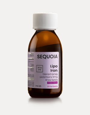 ليبو الحديد