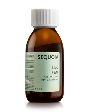 ليبو اف اند ام