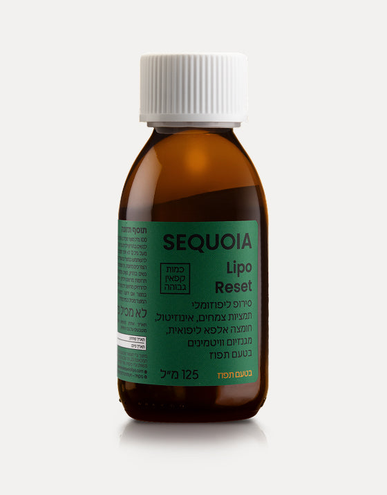 ערכת BACK TO RESET עכשיו במחיר השקה