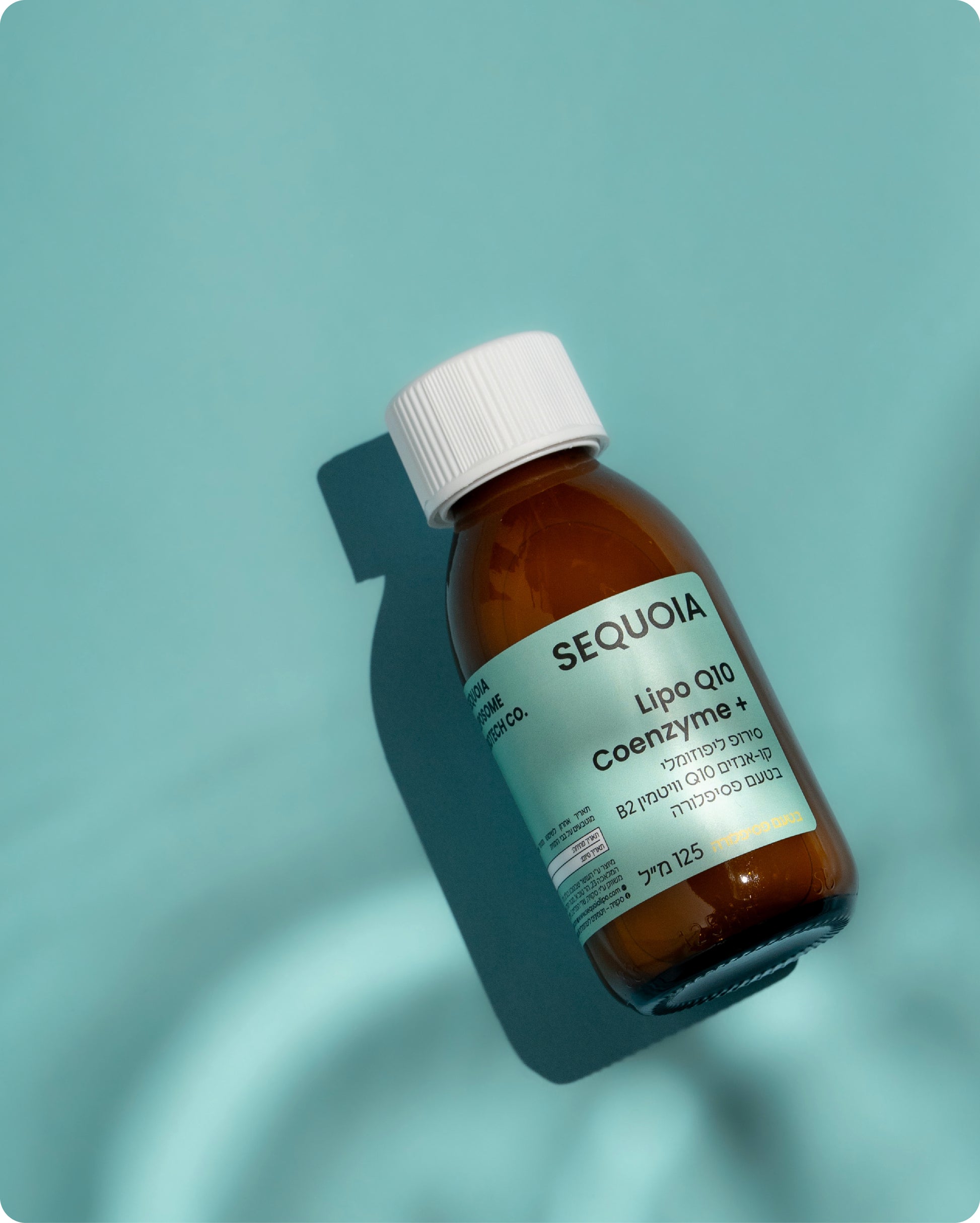 LIPO Q10 Coenzyme+