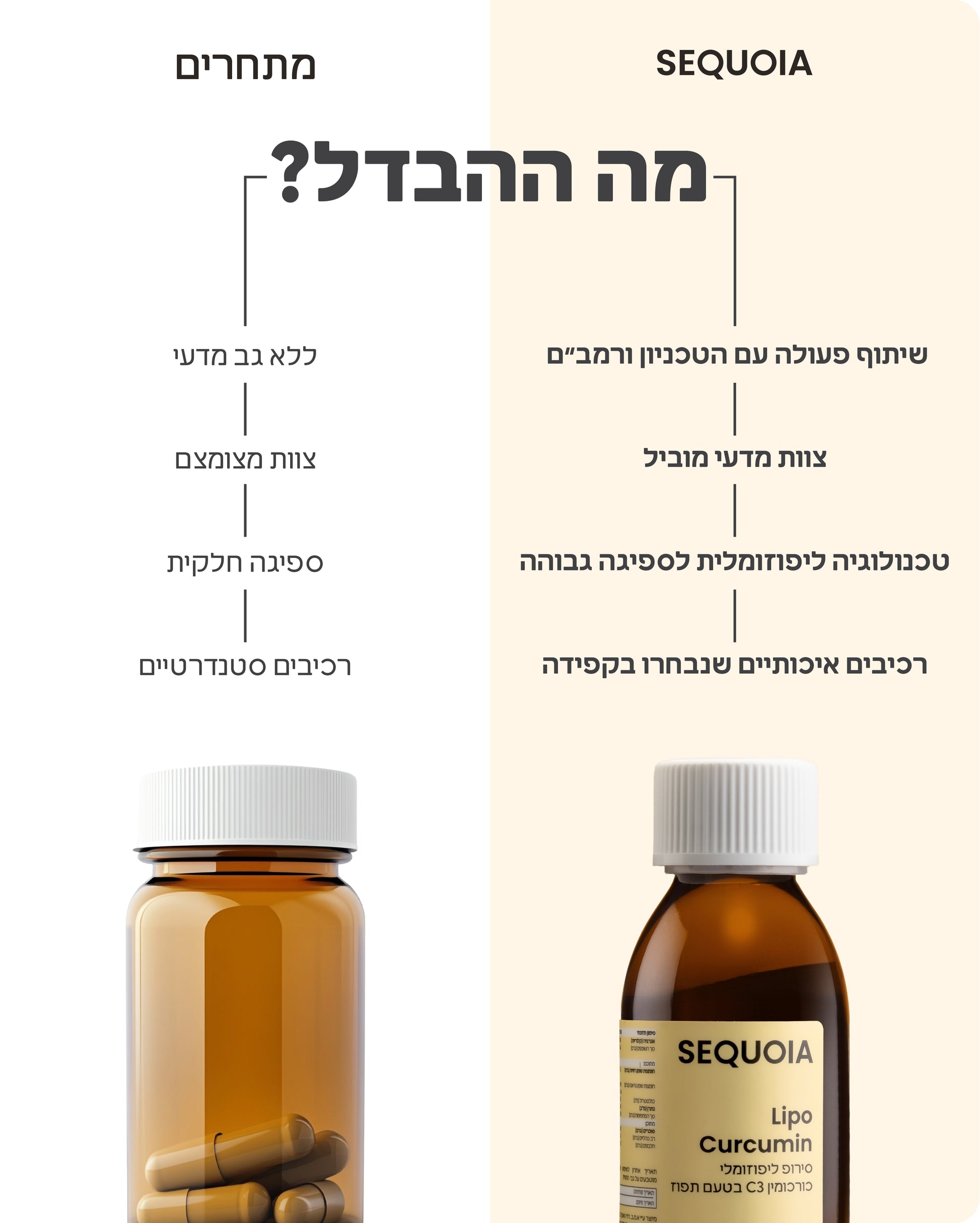 LIPO Curcumin