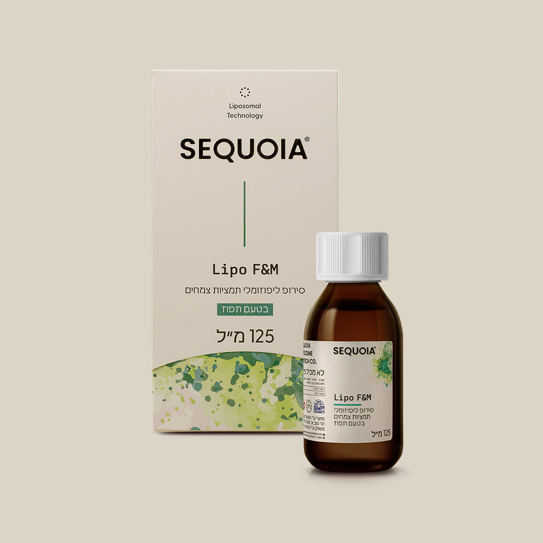 ليبو اف اند ام