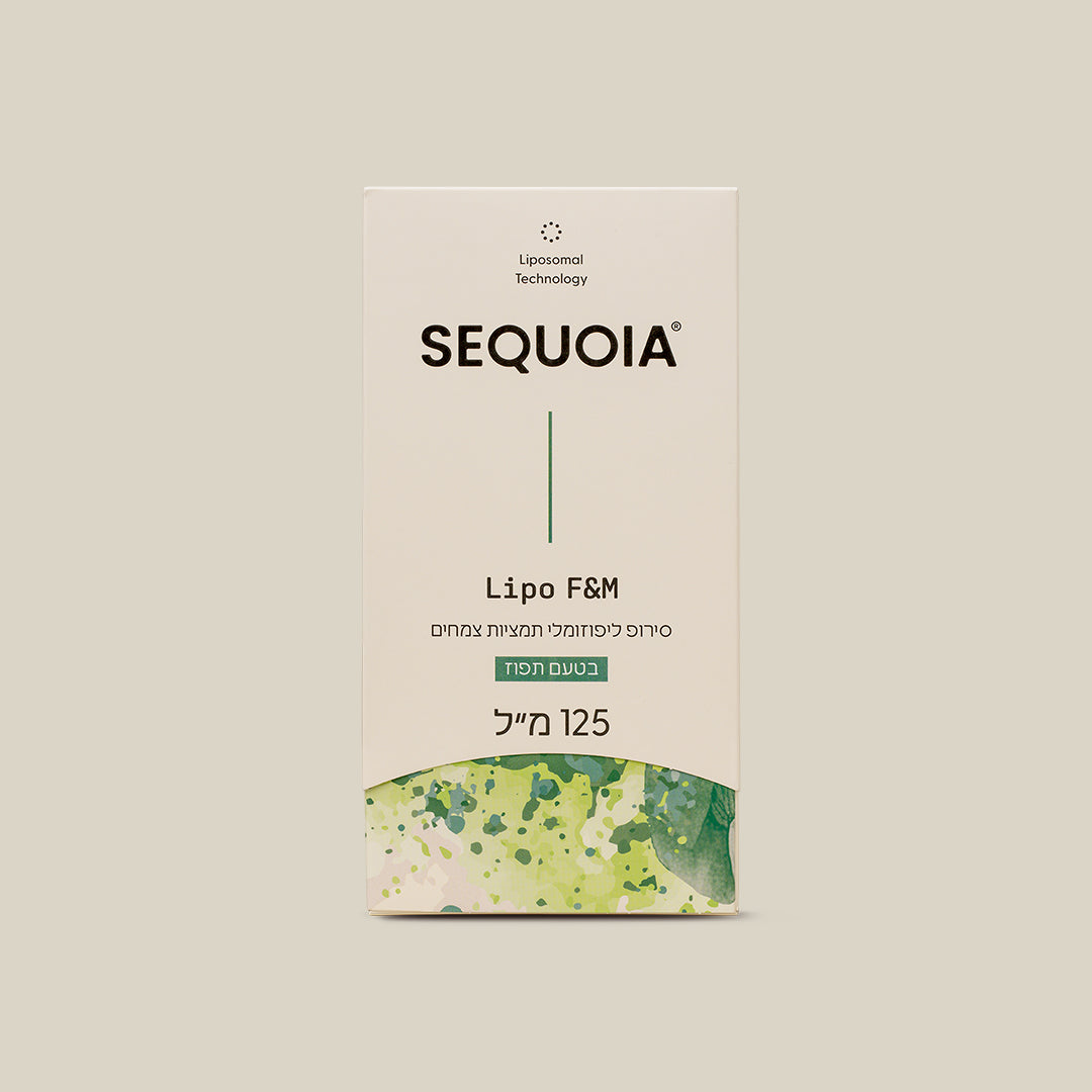 ليبو اف اند ام