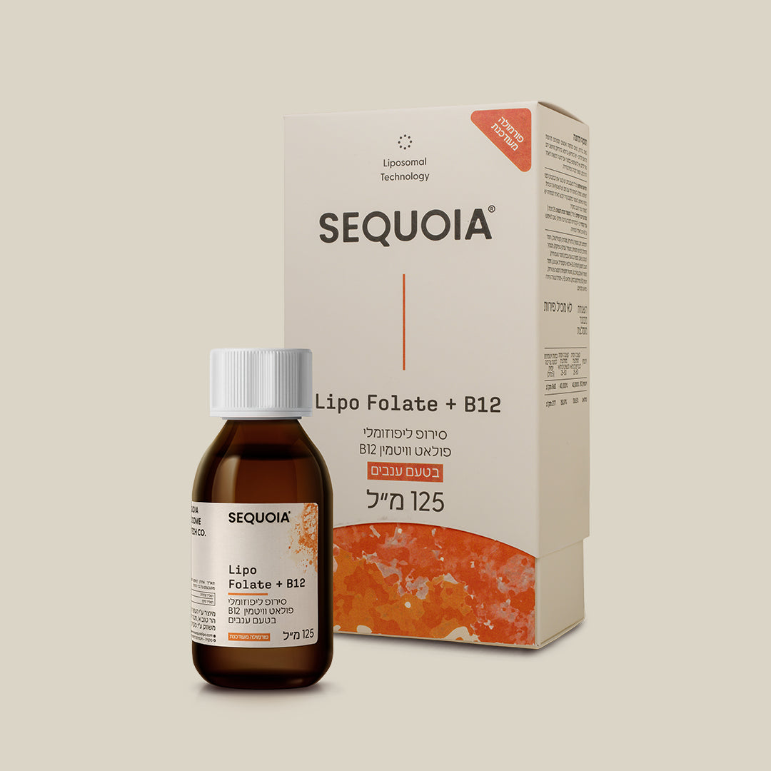 ليبو فولات + ب12