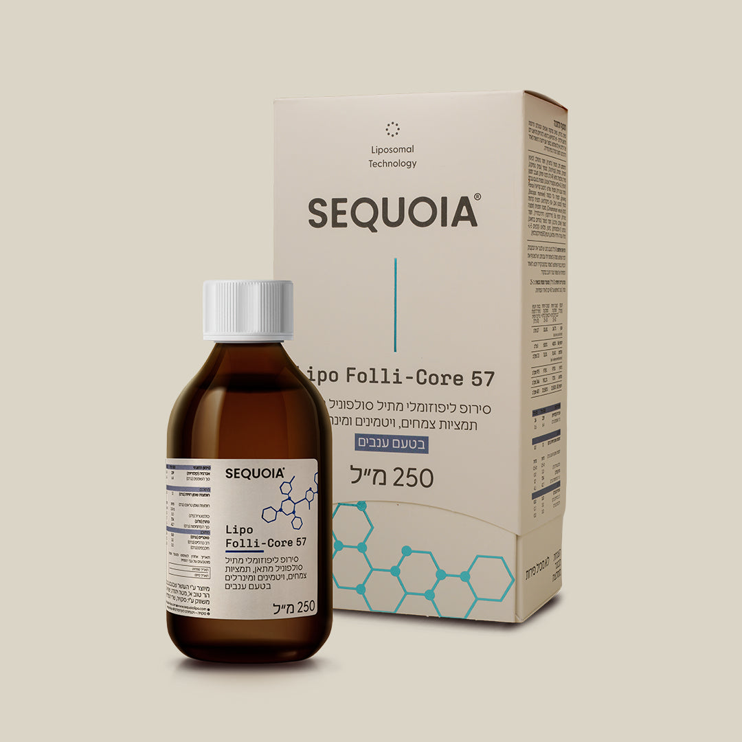 ليبو اتش اند ان