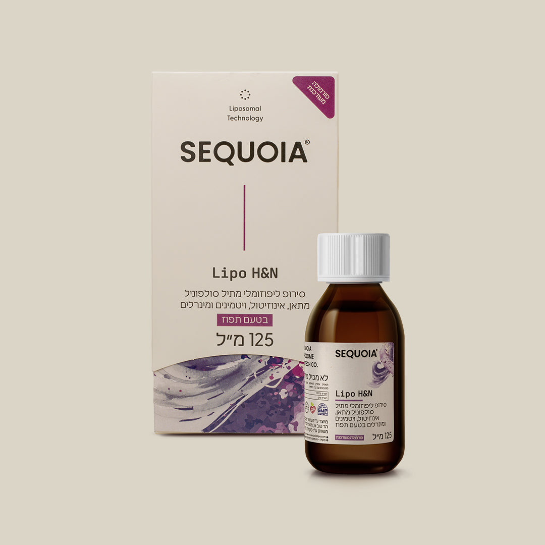 ليبو اتش اند ان