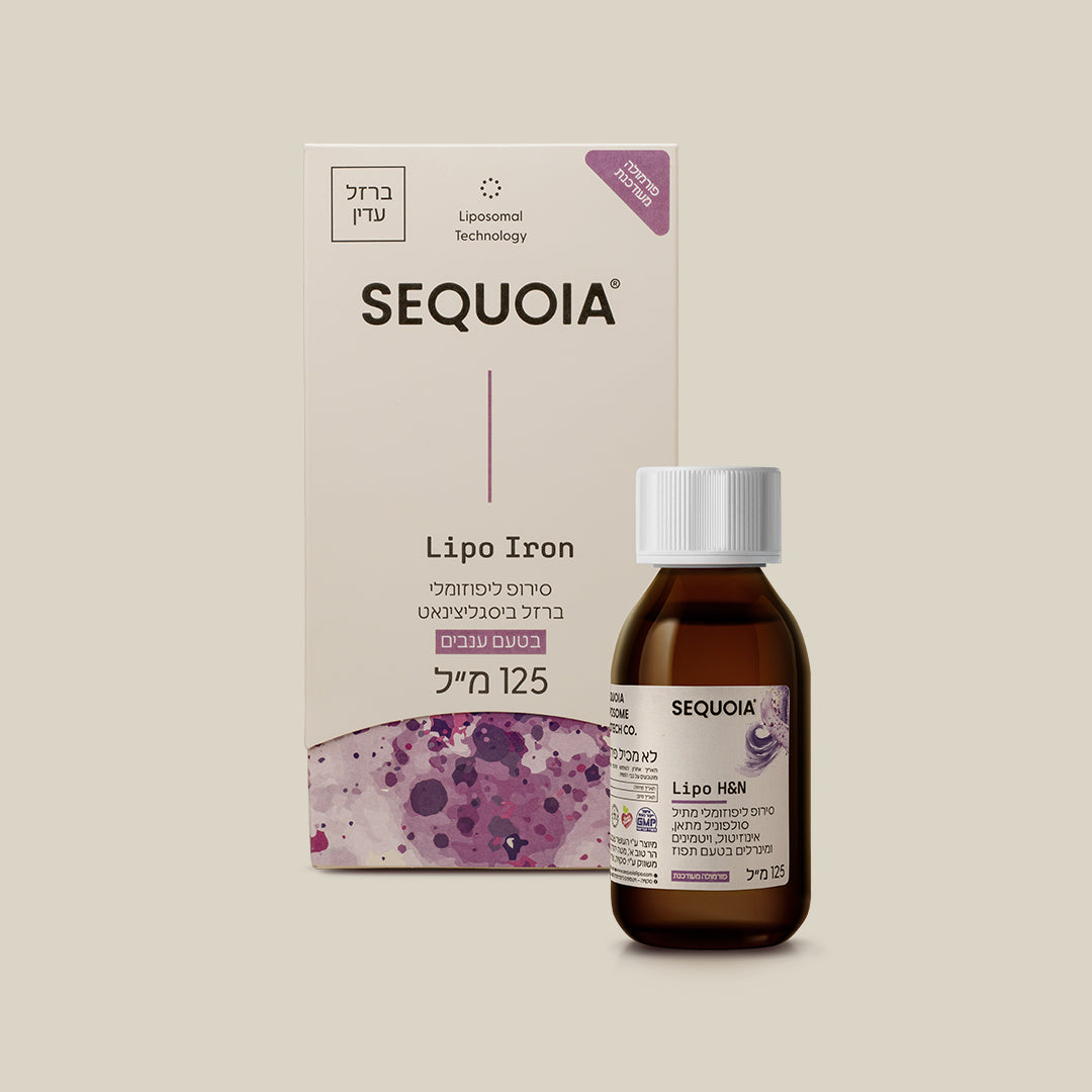 ليبو الحديد