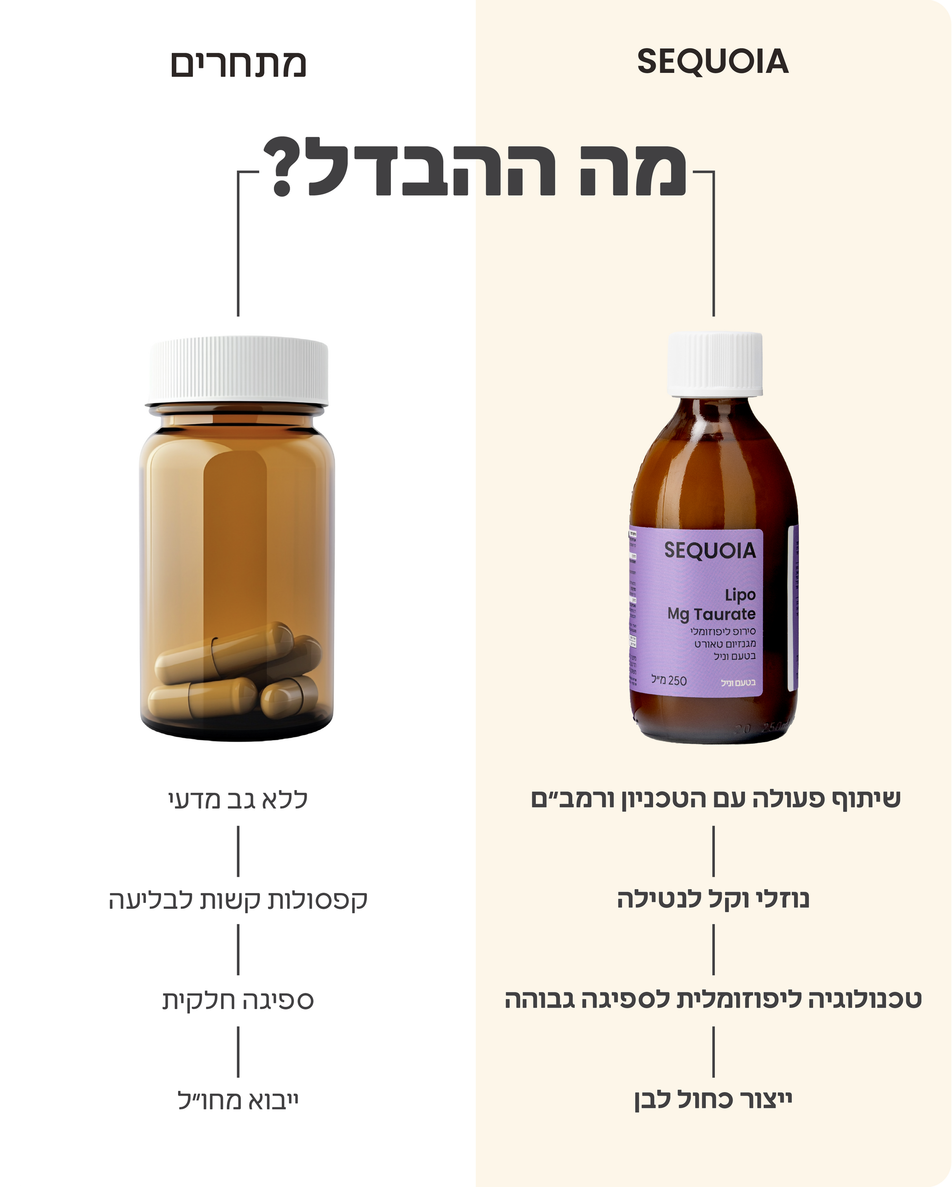 Lipo Magnesium Taurate